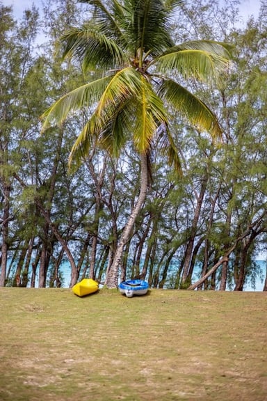 • Large green yard