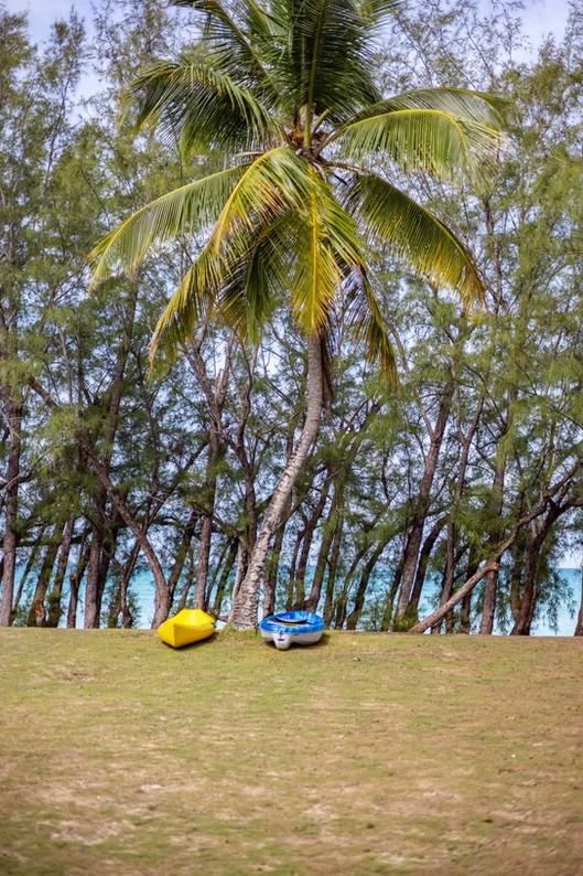 • Large green yard