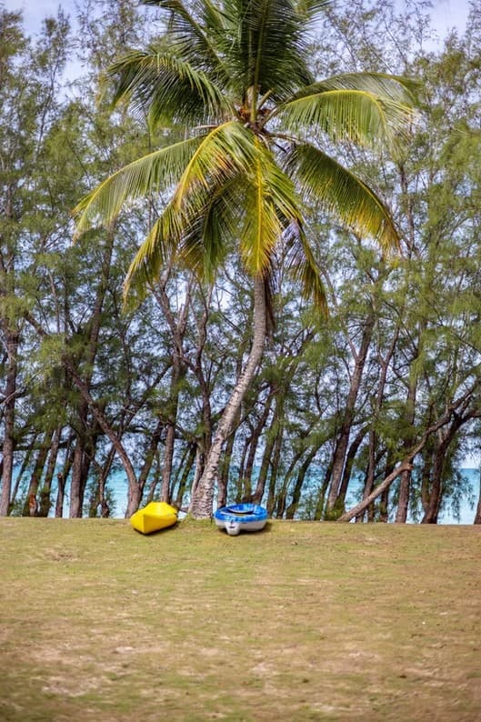 Discover the Ultimate Activities at Gaulding Cay Beach, Eleuthera